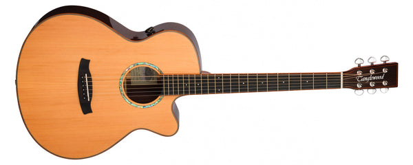 Tanglewood TRS4CE Smart Rosewood Guitar. Super Folk