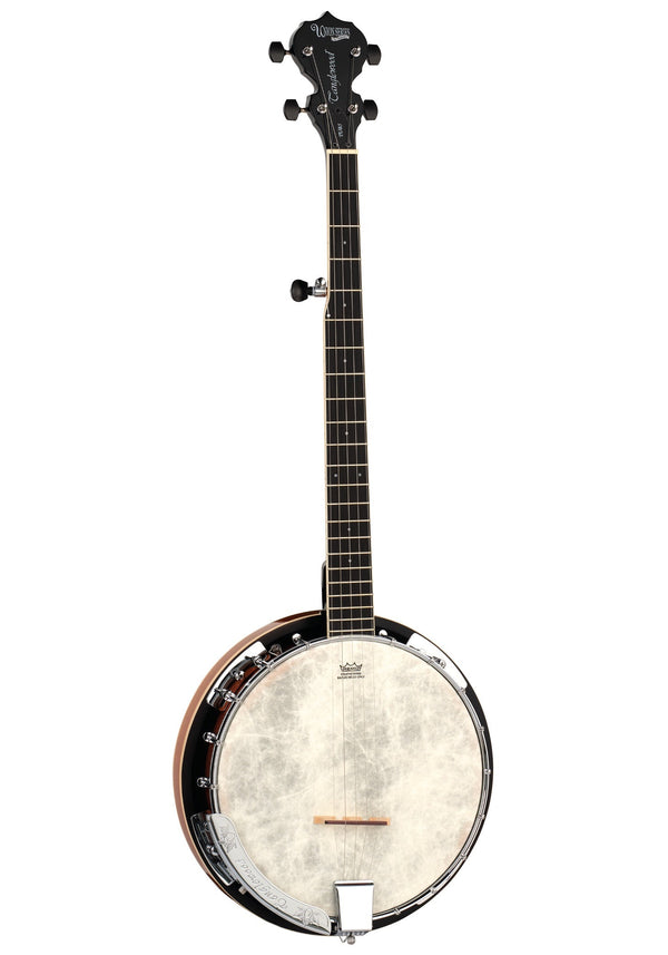Tanglewood TUB5 Union series 5 string Banjo.